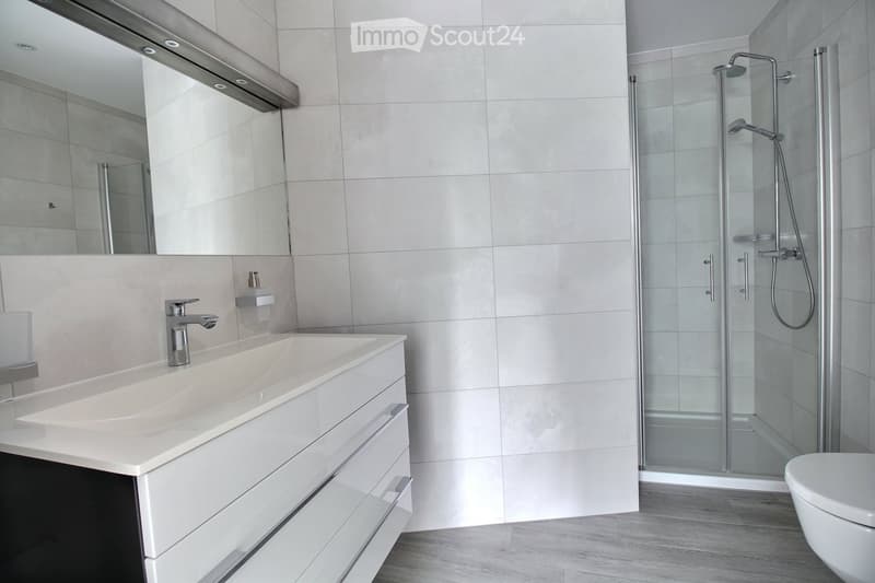 Modern bathroom with a white sink, chrome faucet, large mirror, glass-enclosed shower, and toilet.