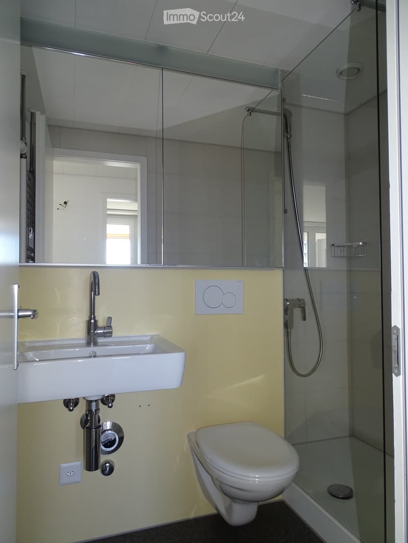 White tiled bathroom with sink, mirror, and shower cabin. White toilet. White countertop and cabinet.
