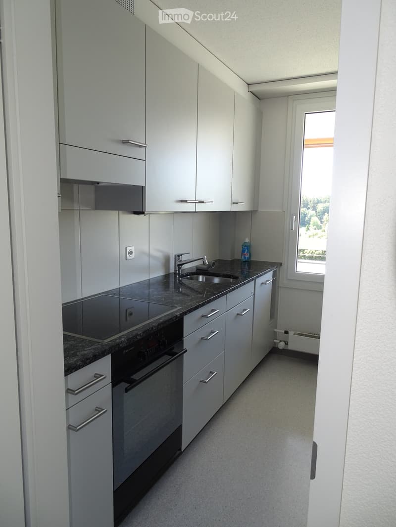 Kitchen with built-in oven, sink, counter, cabinets, dishwasher, washing machine.