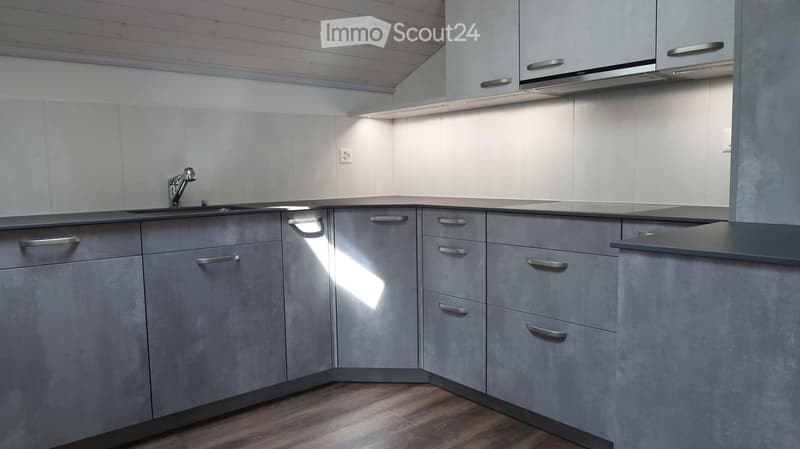 Modern kitchen with grey cabinets, stainless steel handles, and a sleek sink with a modern faucet.