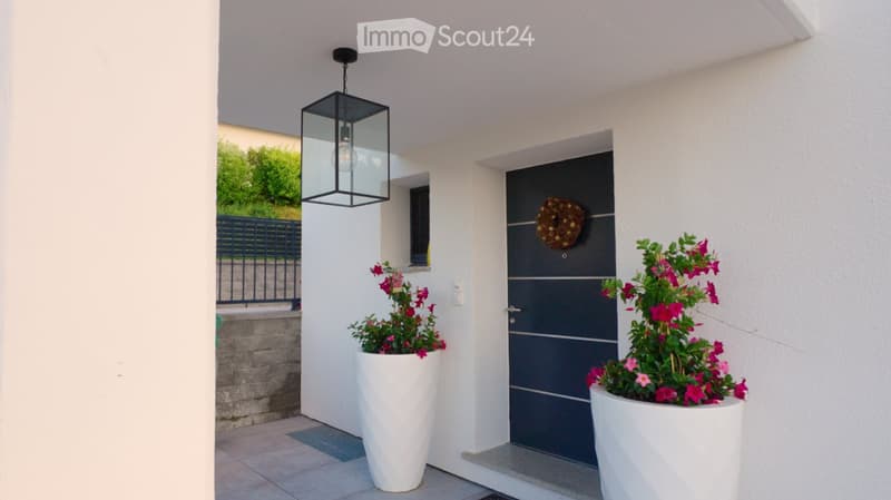 Entrance area with a modern door, two large white planters with pink flowers, and a hanging lantern light fixture.