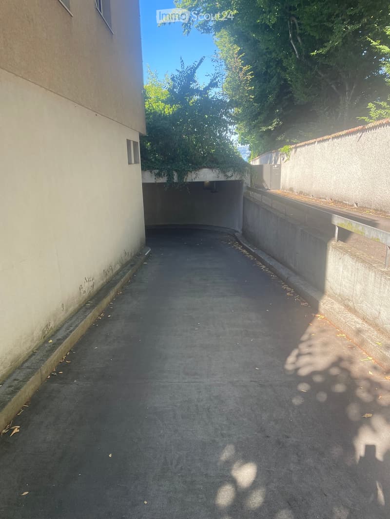 A narrow, paved pathway flanked by concrete walls and greenery, leading to a tunnel entrance.