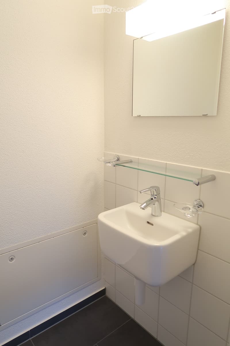 Modern bathroom with a white sink, chrome faucet, mirrored cabinet, and glass shelf.