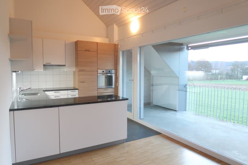 Modern kitchen with white cabinets, black countertop, stainless steel sink and oven, and large windows overlooking a green area.