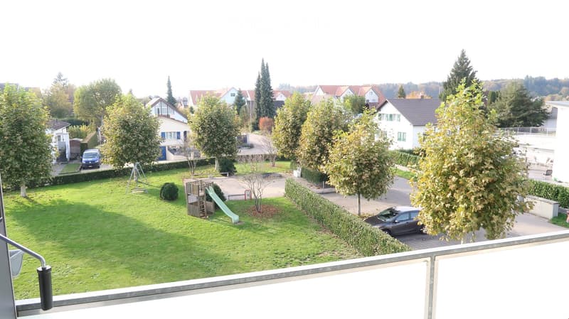 A well-maintained garden with a playground, including a slide and swings, surrounded by trees and hedges. The background shows a residential neighborhood with houses and parked cars.