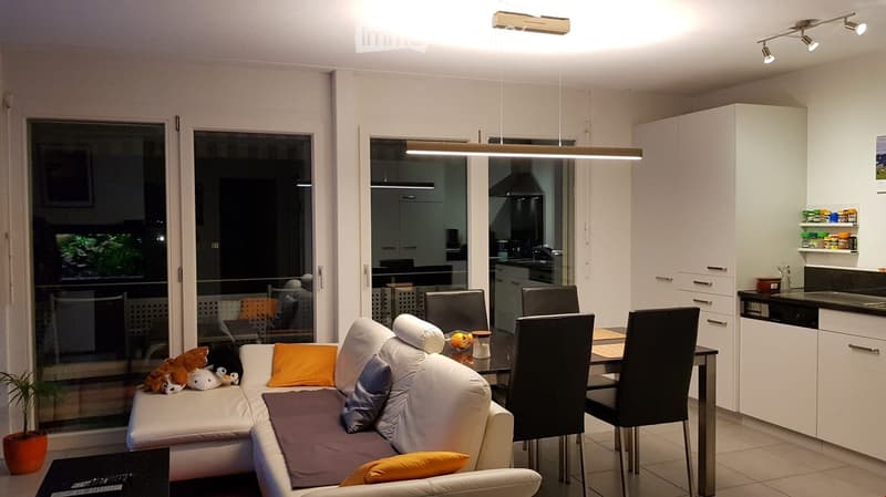 Modern living and dining area with white sofa, colorful cushions, dining table with chairs, kitchen area with cabinets and counter, and a potted plant near the window.