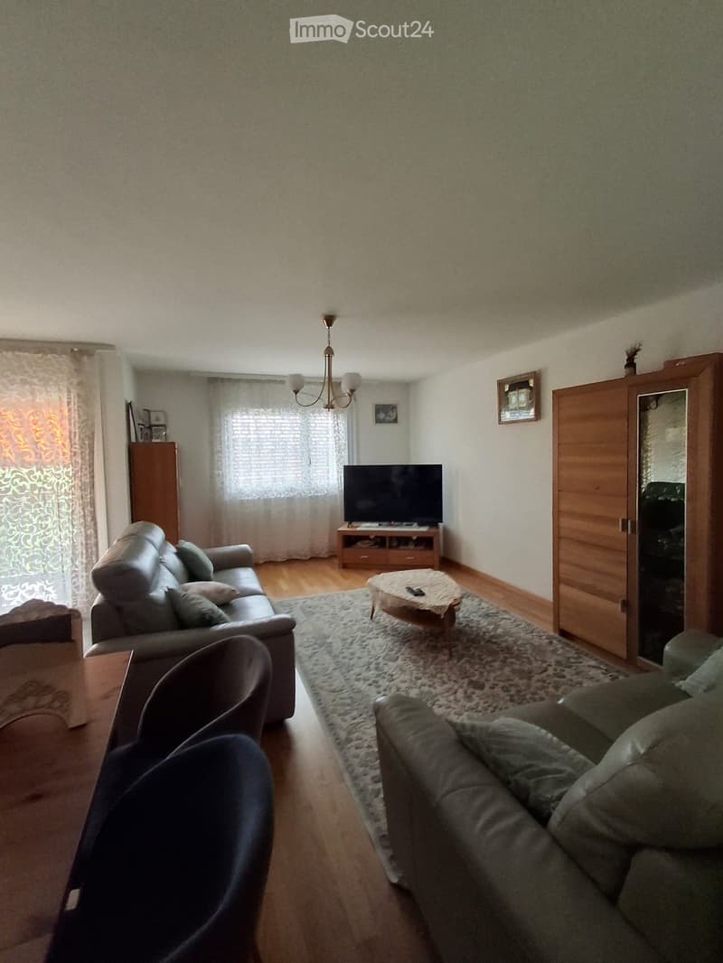 Living room with wooden flooring, a grey sofa, a coffee table, a television on a wooden stand, and a large rug. There are also armchairs, a side table, and a cabinet with a mirror.