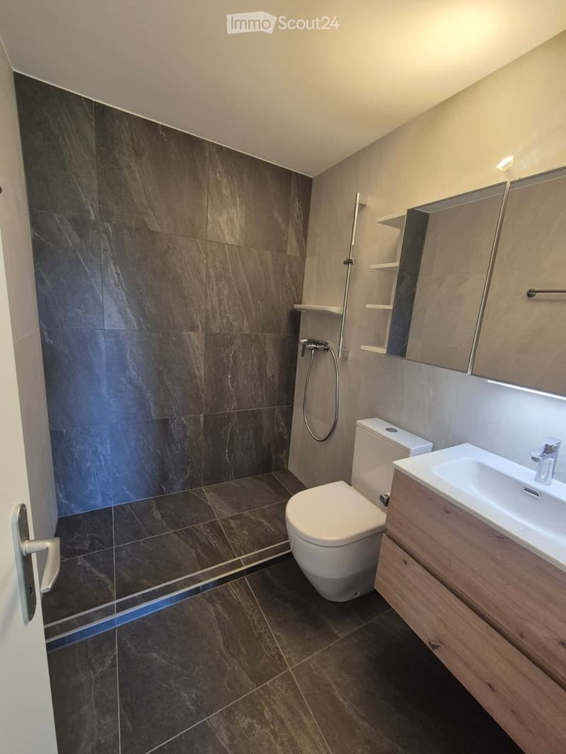 Modern bathroom with dark tiled walls and floor, a toilet, a sink with a wooden cabinet, a large mirror, and a glass-enclosed shower area.