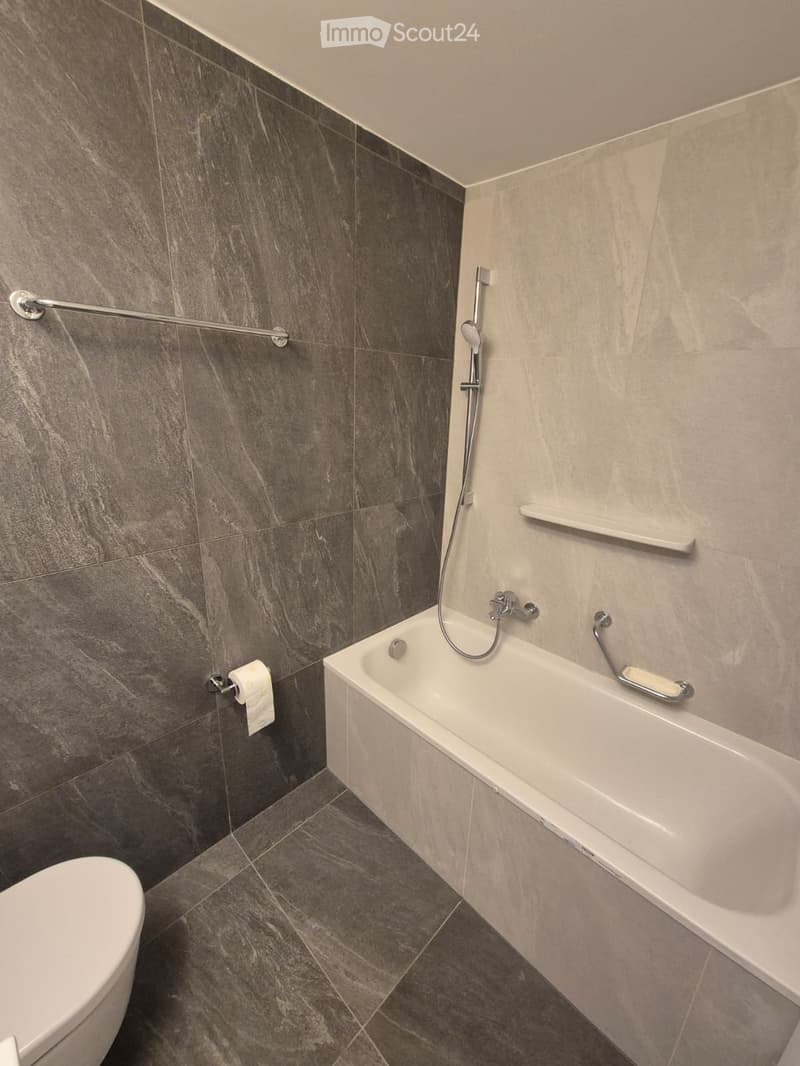 Modern bathroom with a bathtub, toilet, and showerhead. Features dark grey marble tiles on walls and floor, a handrail beside the bathtub, and a toilet paper holder.