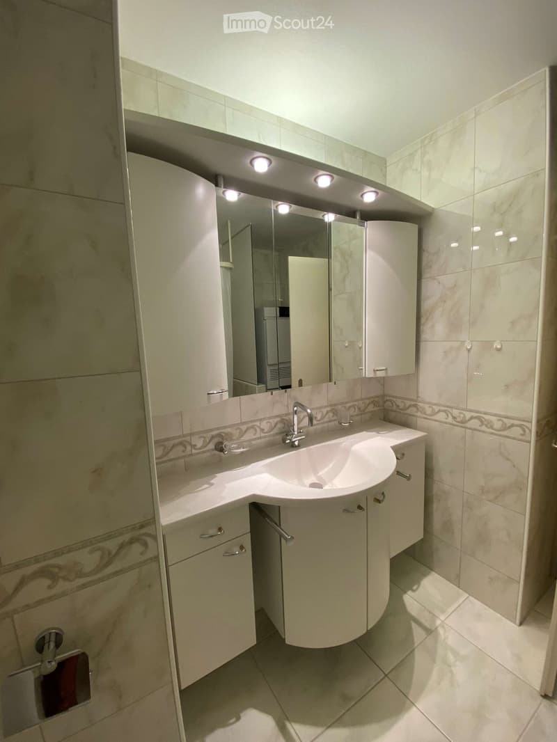 Modern bathroom with a white sink, chrome faucet, large mirror, and built-in cabinets.