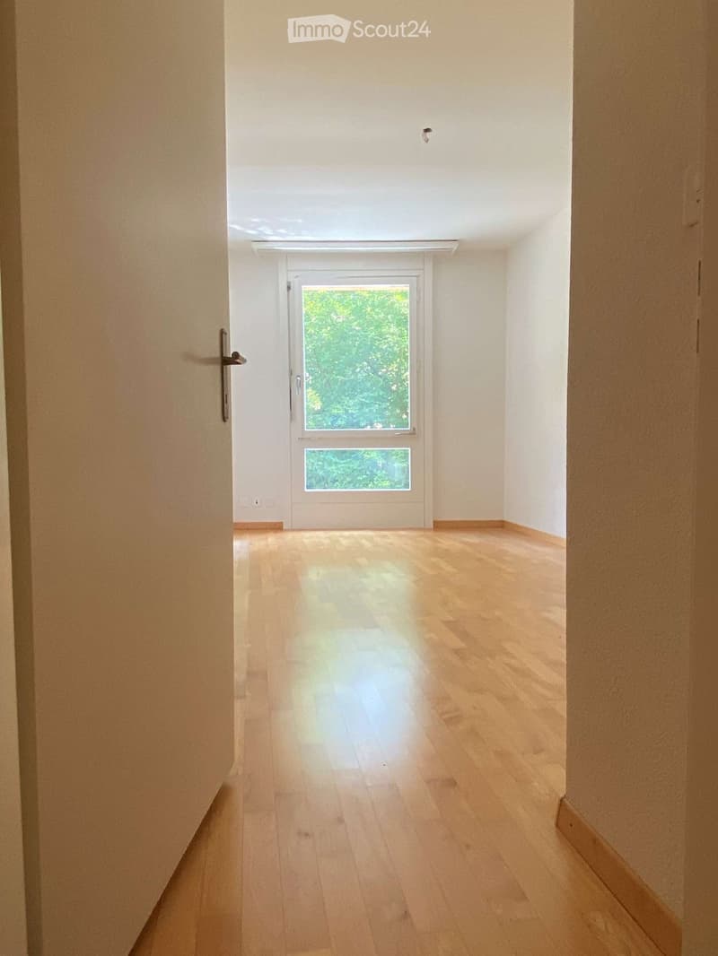 Empty hallway with light wooden flooring, white walls, and a glass door leading outside.