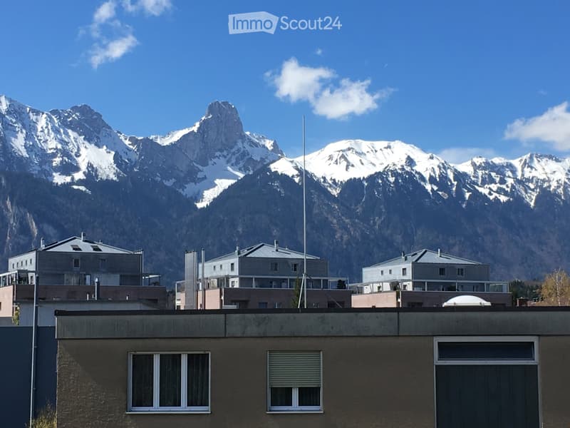 Apartment buildings in front of a mountain range with snowy peaks