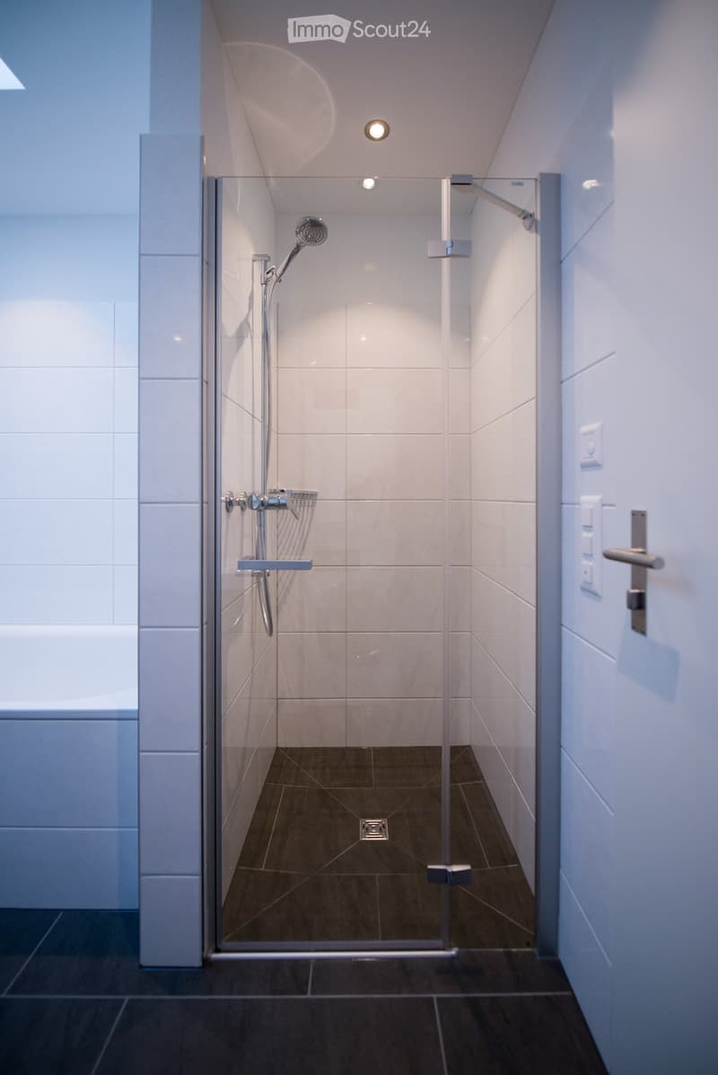 Modern shower with glass enclosure, tiled walls, and dark tiled floor. Features a handheld showerhead and a fixed showerhead.