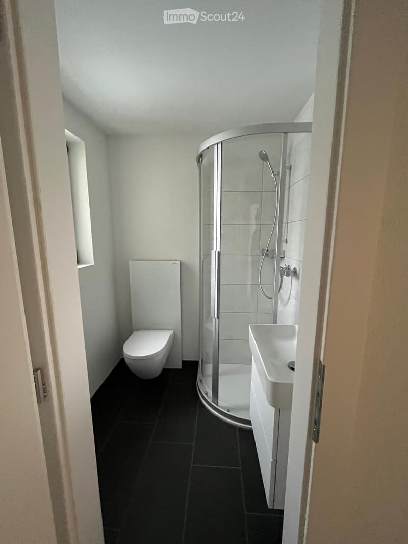 Modern bathroom with black tiled floor, white toilet, white sink, and a glass-enclosed shower with a modern showerhead.