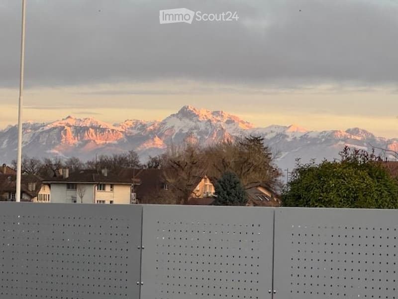 View of snow-capped mountains from behind a perforated metal fence, with houses and trees in the foreground.