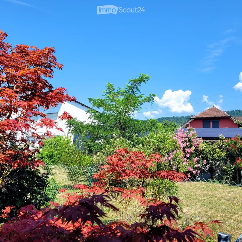 Garden with red maple trees, flowering bushes, and a fence, with houses visible in the background under a clear blue sky.