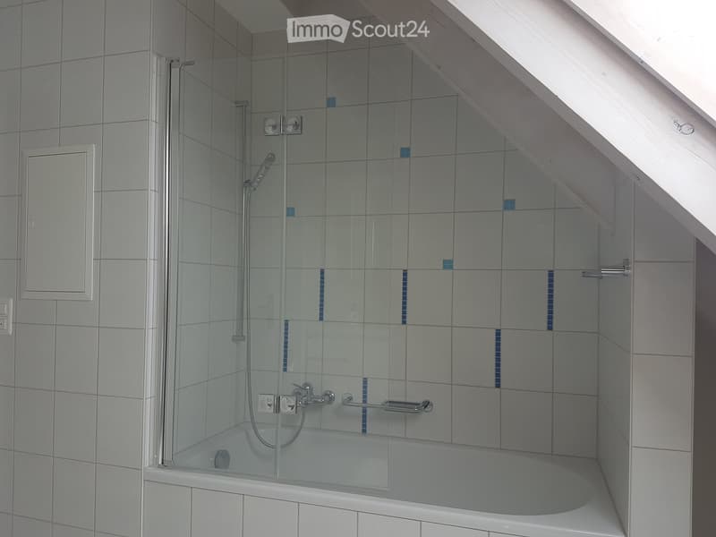 Modern bathroom with a bathtub enclosed by a glass shower enclosure, featuring a handheld showerhead, a handrail, and tiled walls.