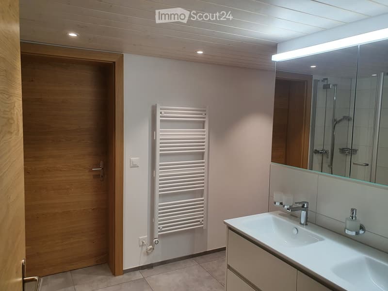 Modern bathroom with a white radiator, a large mirror, a sink with a modern faucet, and a shower area visible in the background.