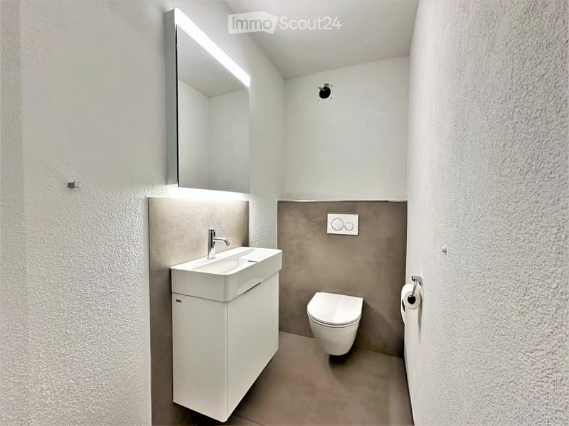 Modern bathroom with a white sink, toilet, and mirror, featuring sleek design and neutral tones.