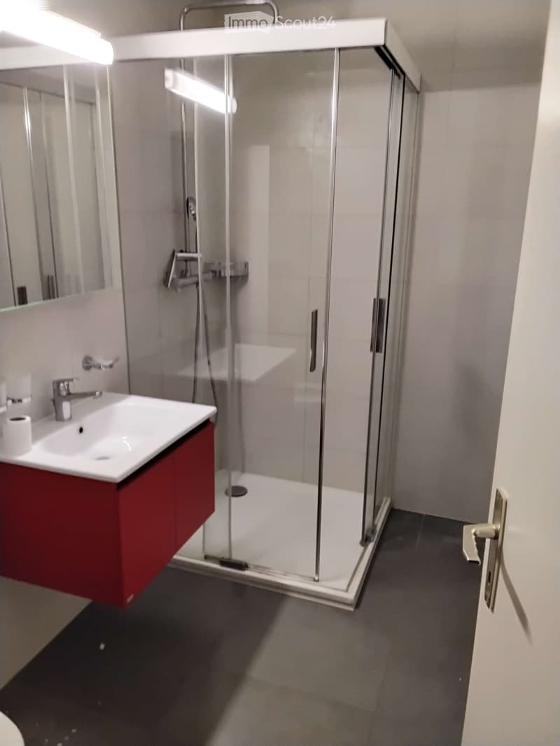 Modern bathroom with a red vanity cabinet, white sink, glass-enclosed shower, and a mirror above the sink.