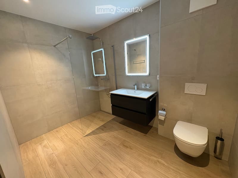 Modern bathroom with wooden flooring, a black vanity with a white sink, a toilet, a glass-enclosed shower area with a handheld showerhead, and illuminated mirrors above the sink.