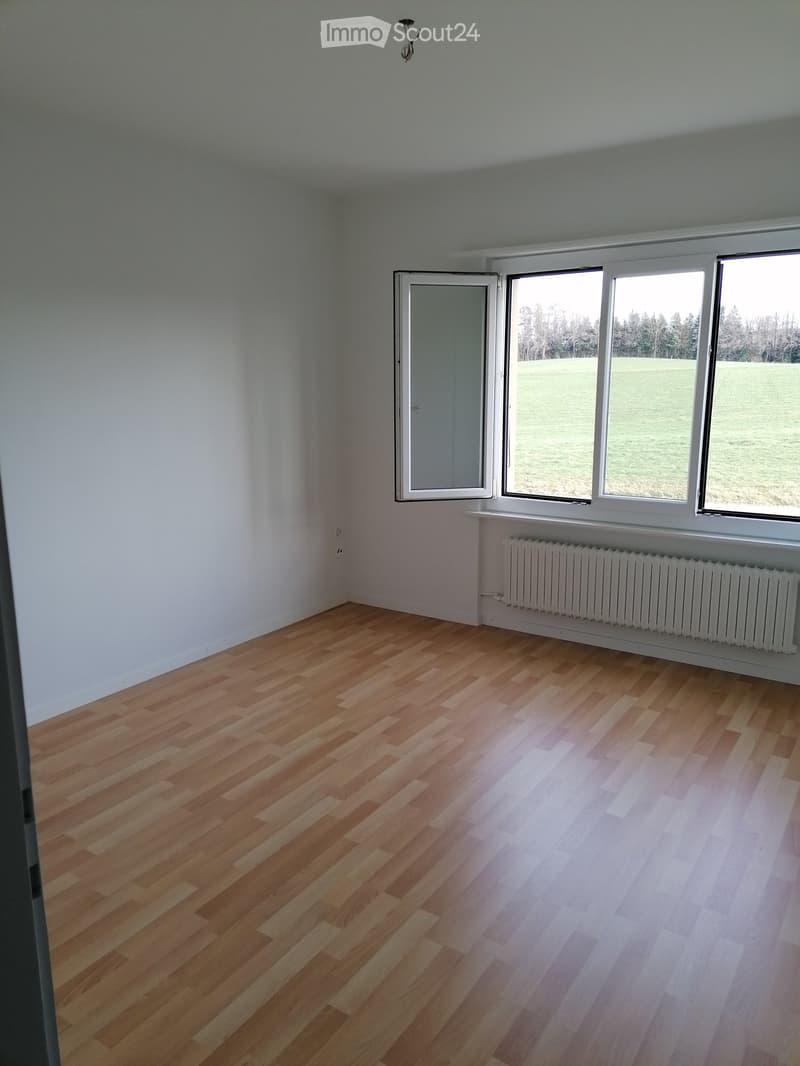 Empty room with light wooden flooring, white walls, large windows, and a radiator under the windows.