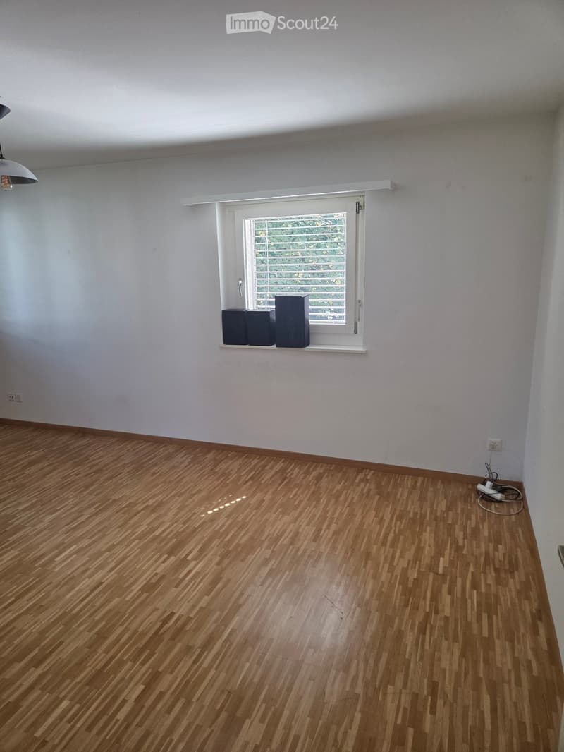 Empty room with wooden flooring, white walls, and a window with blinds. There is a small shelf above the window holding two dark-colored objects, and a light fixture is visible on the left side of the ceiling.