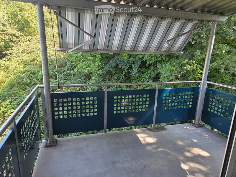 Balcony with metal railing, retractable awning, and lush green foliage in the background.