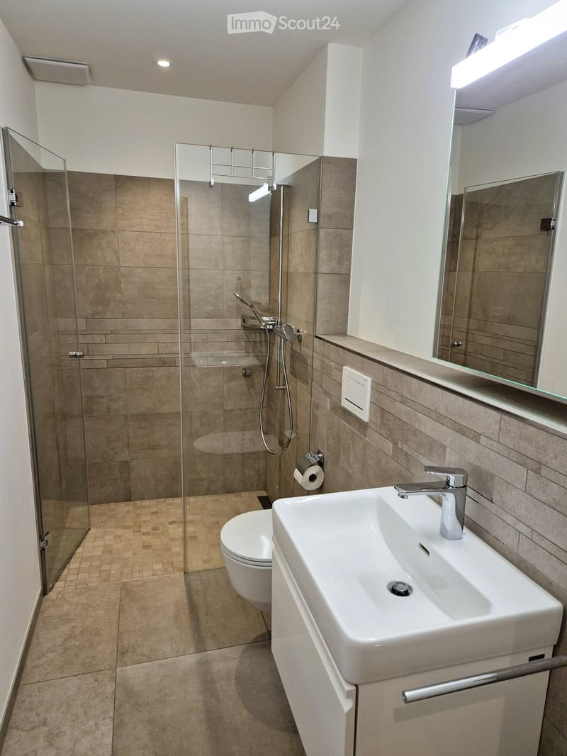 Modern bathroom with a white sink, chrome faucet, large mirror, toilet, and a glass-enclosed shower with a modern showerhead.