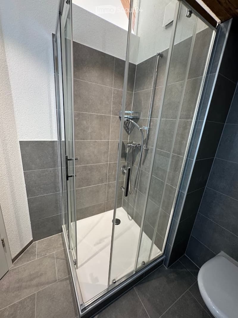 Modern bathroom with a glass-enclosed shower stall and a toilet. The shower features a modern design with a glass door and a sleek showerhead.
