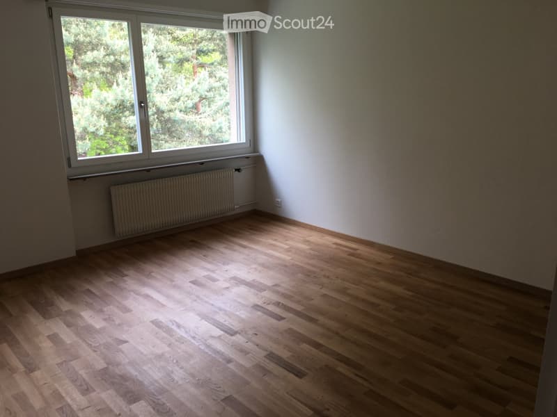 Empty room with wooden flooring, white walls, large window with view of greenery, radiator below window.