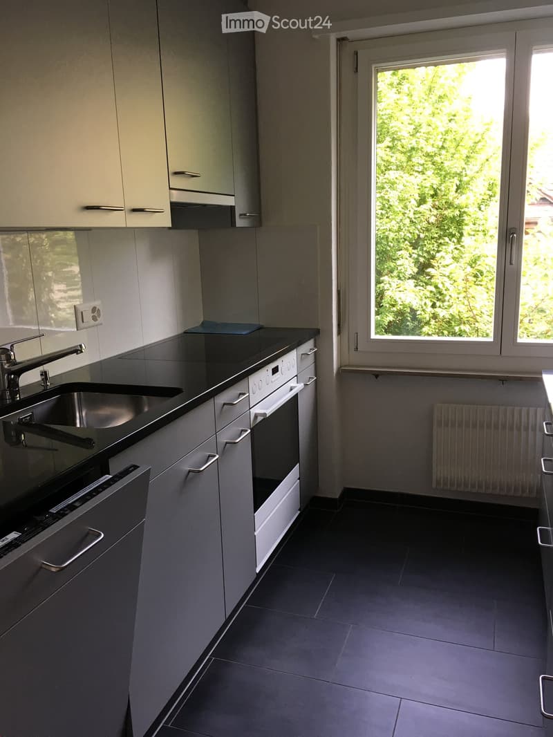 Modern kitchen with grey cabinets, black countertops, stainless steel sink, oven, and dishwasher. Large window with greenery view.