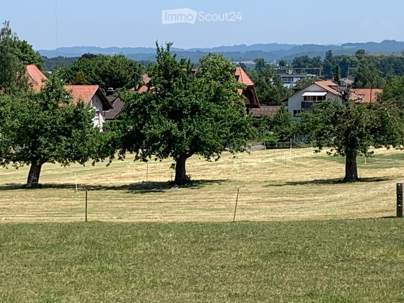Rural landscape with scattered houses, trees, and open fields under a clear sky.