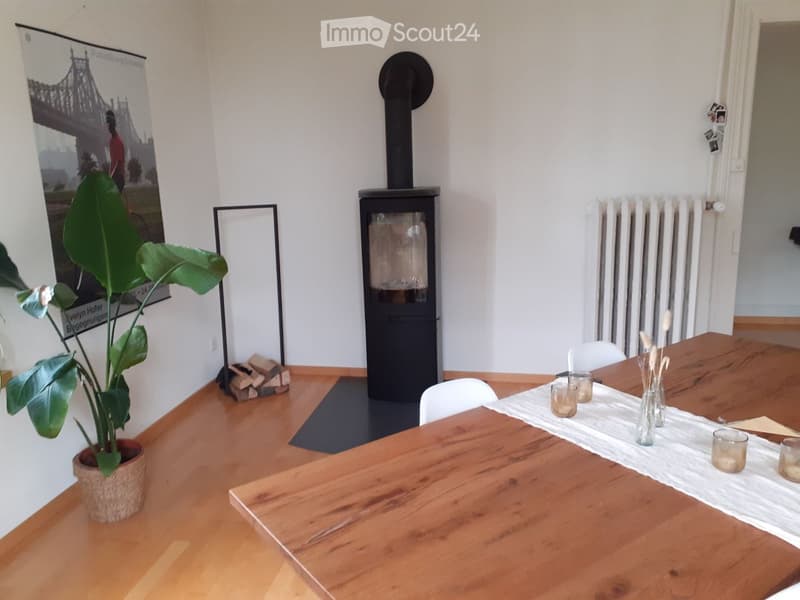 Modern living room with a large wooden dining table, white chairs, a fireplace, a potted plant, and a radiator.