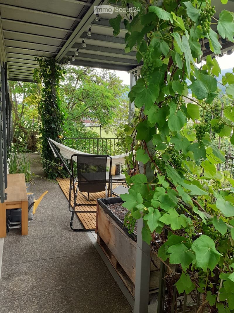 A covered outdoor balcony with a wooden deck, black folding chair, hammock, and lush grapevine plants.