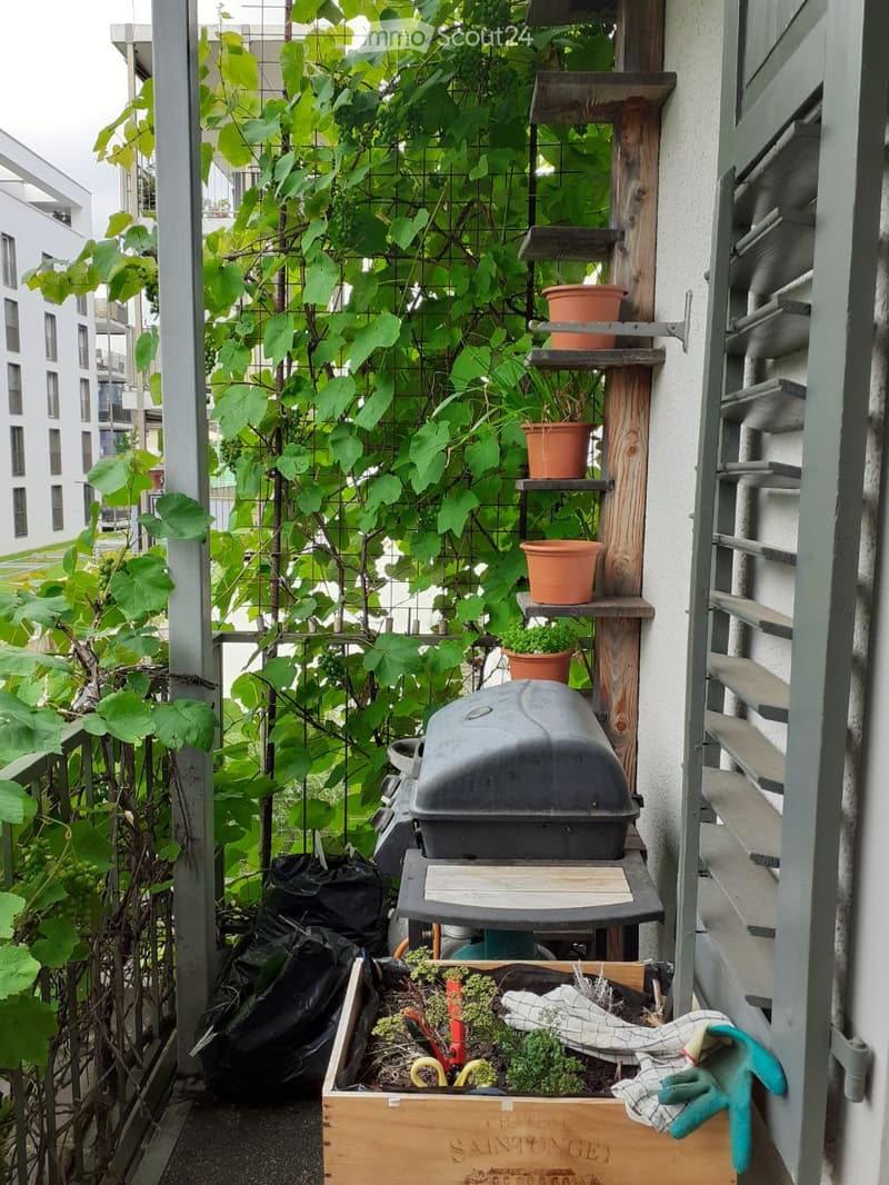 A small outdoor garden area with a wooden crate filled with plants, a grill, potted plants on a wooden shelf, and a climbing vine on a metal trellis.