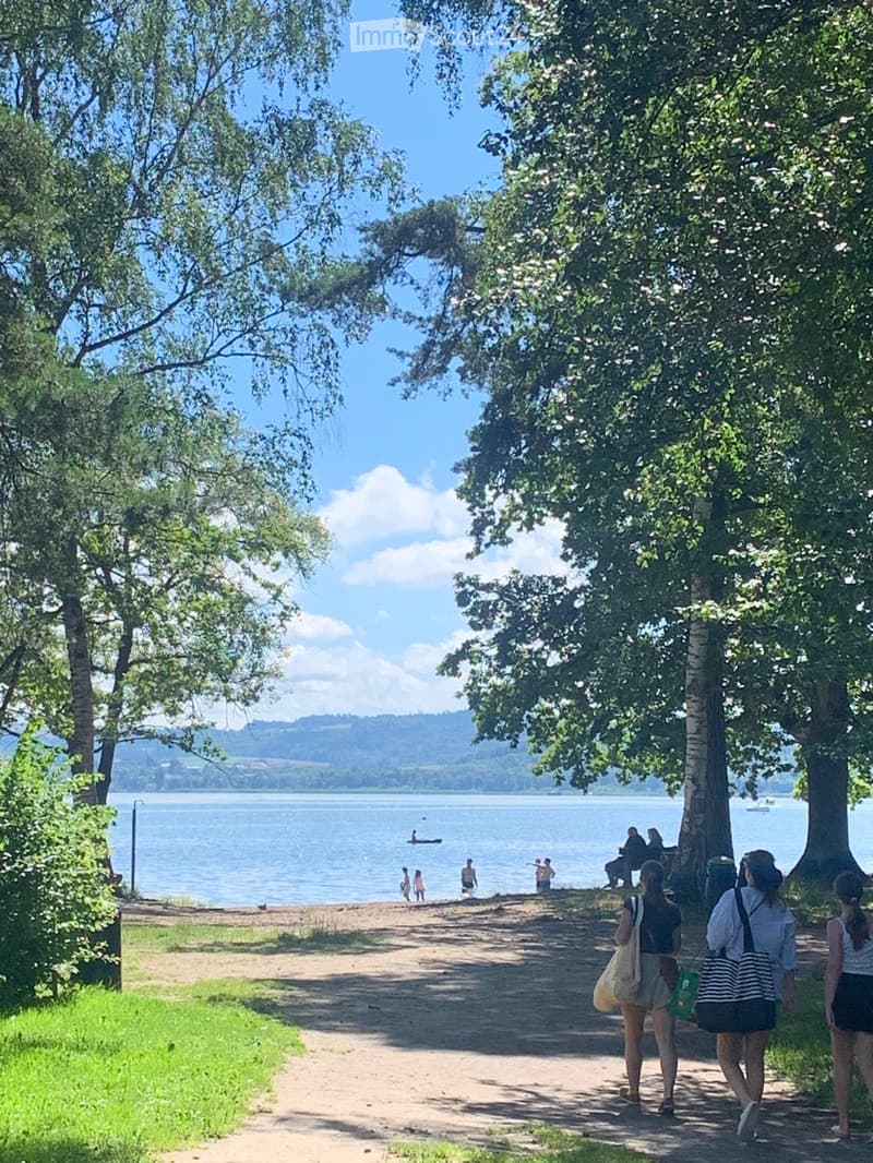 A scenic lakeside park with a sandy beach, trees lining the pathway, and people enjoying the water and surroundings.