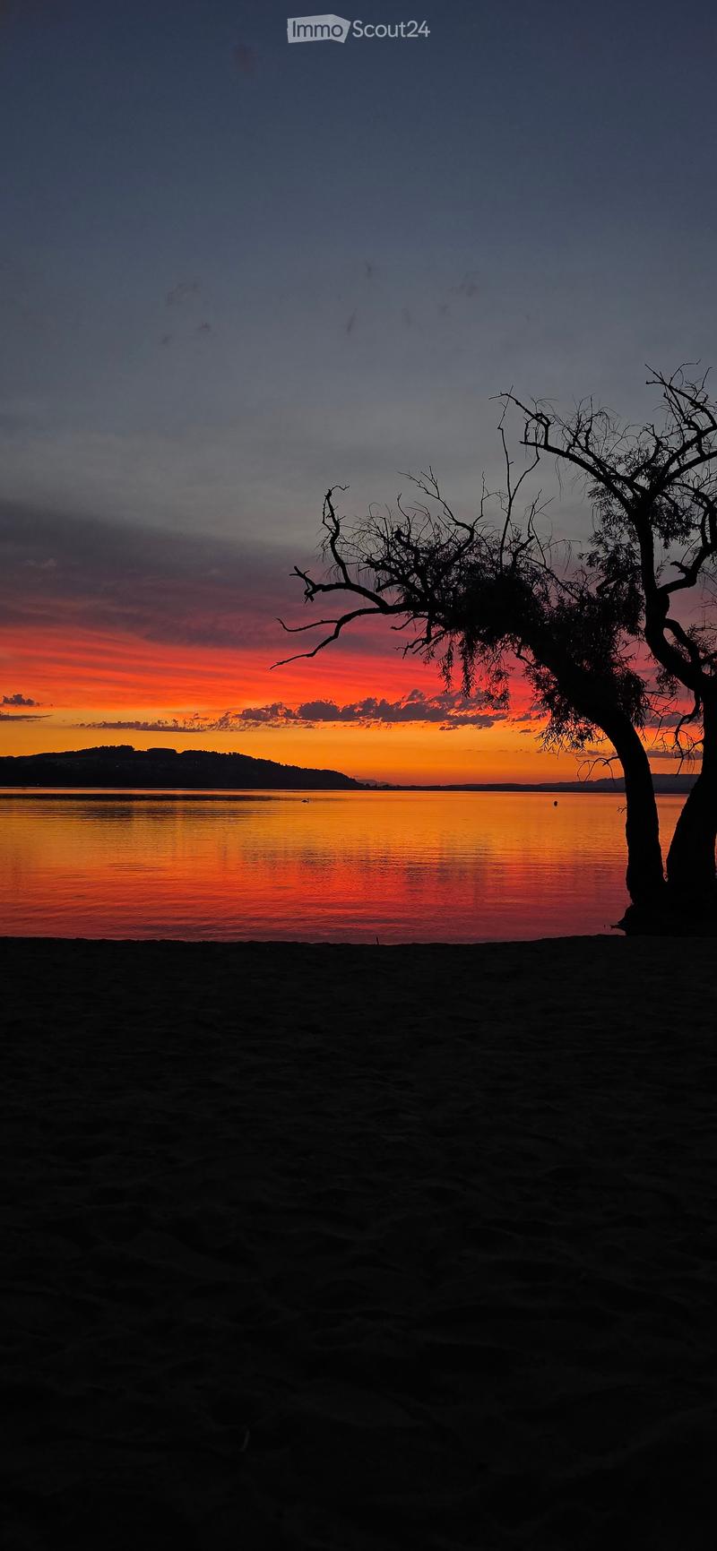A serene beach scene at sunset, with calm water reflecting the vibrant orange and pink hues of the sky, a lone tree silhouetted against the horizon, and distant hills visible in the background.