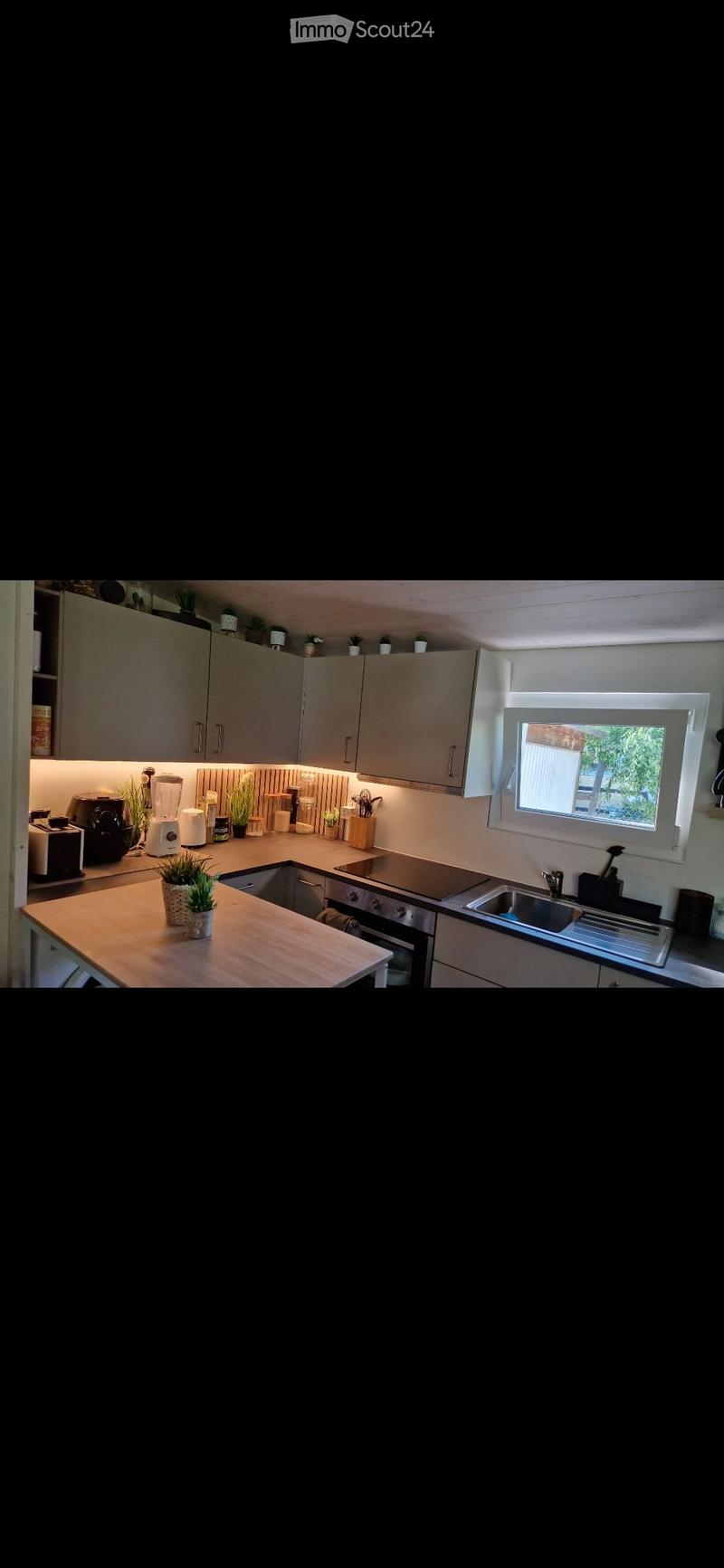 Modern kitchen with light grey cabinets, wooden countertop, sink, oven, and various appliances including a blender and toaster. Small potted plants are placed on the countertop and shelves.