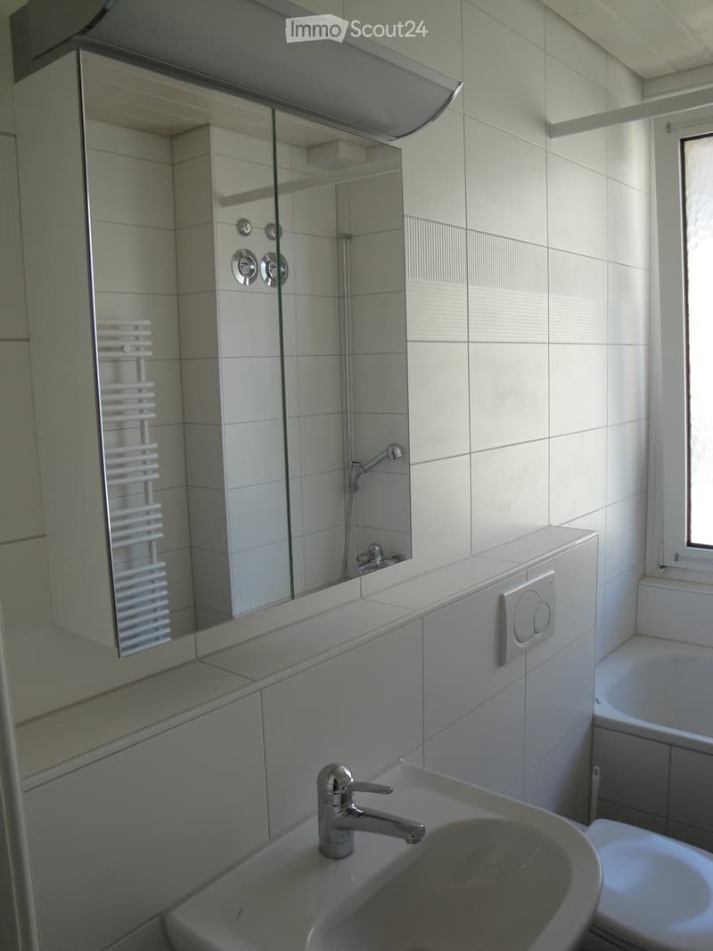 Modern bathroom with white tiles, a sink with a chrome faucet, a large mirror with built-in shelves, a bathtub, and a radiator.