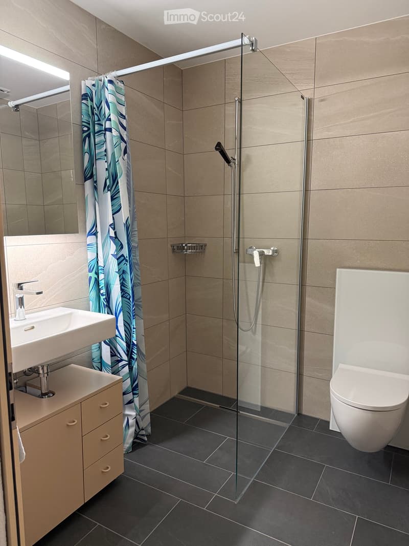 Modern bathroom with a glass-enclosed shower, a white toilet, a sink with a modern faucet, and a wooden cabinet. The shower curtain features a tropical leaf design.
