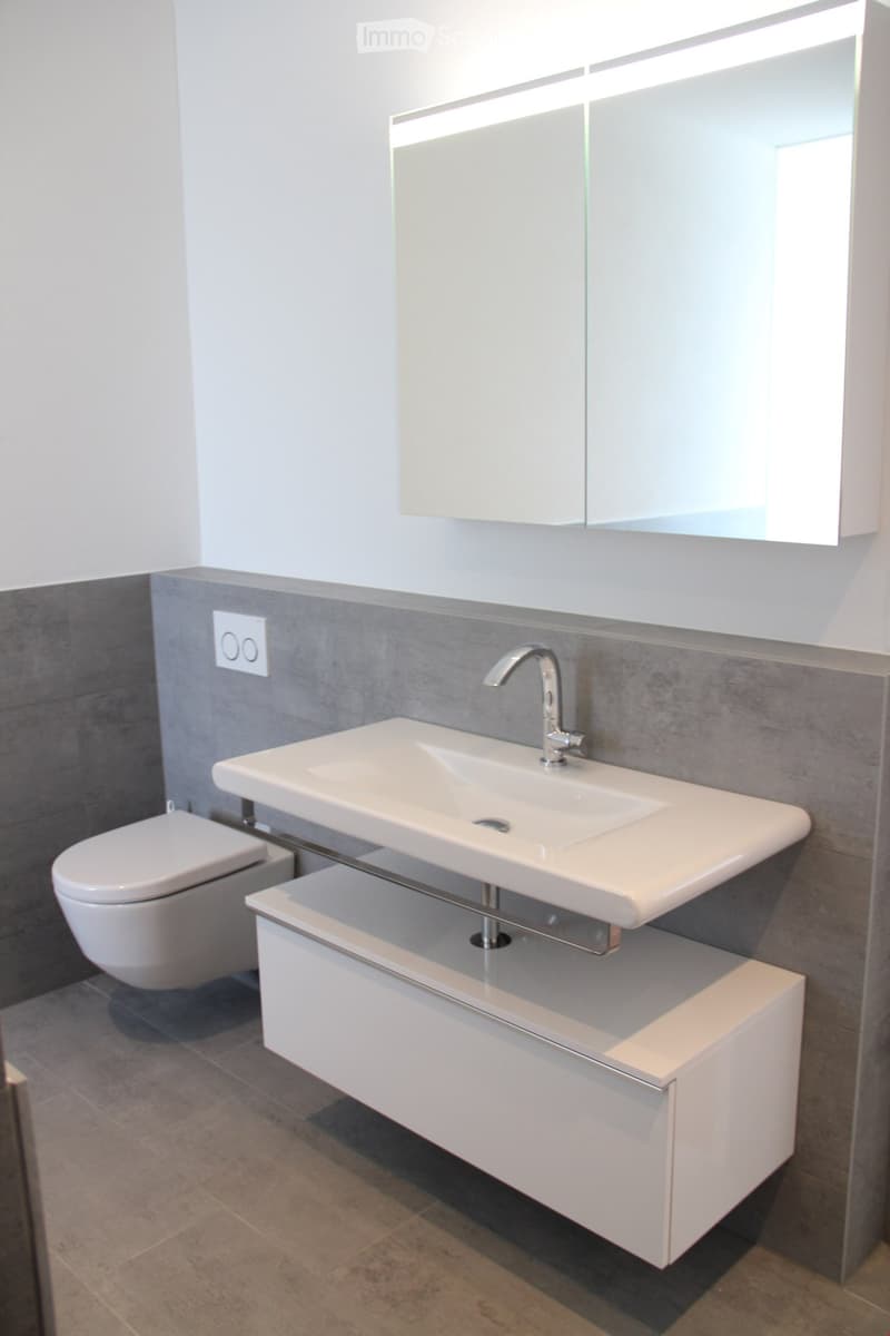 Modern bathroom with a white sink, chrome faucet, built-in cabinet, large mirror, and toilet.