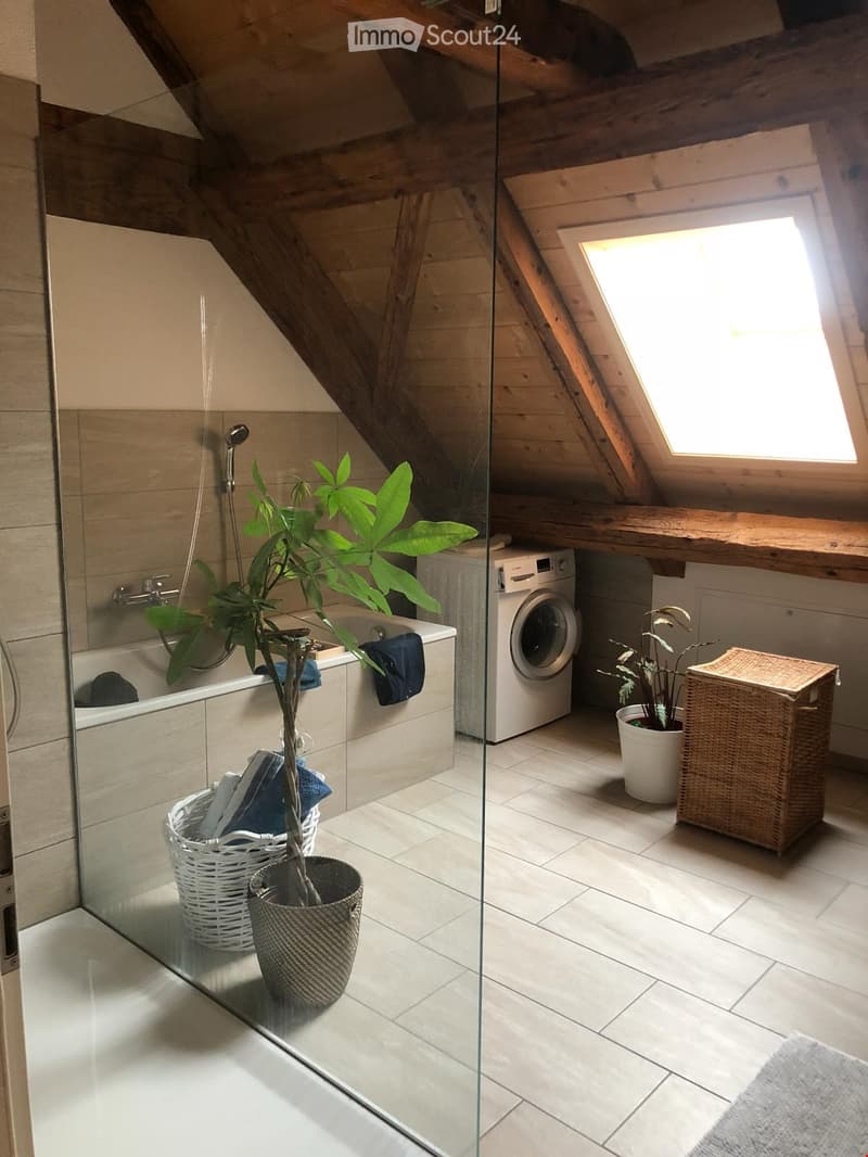 Modern bathroom with a bathtub, washing machine, and skylight window. Features include a wicker basket, plants, and a glass partition.