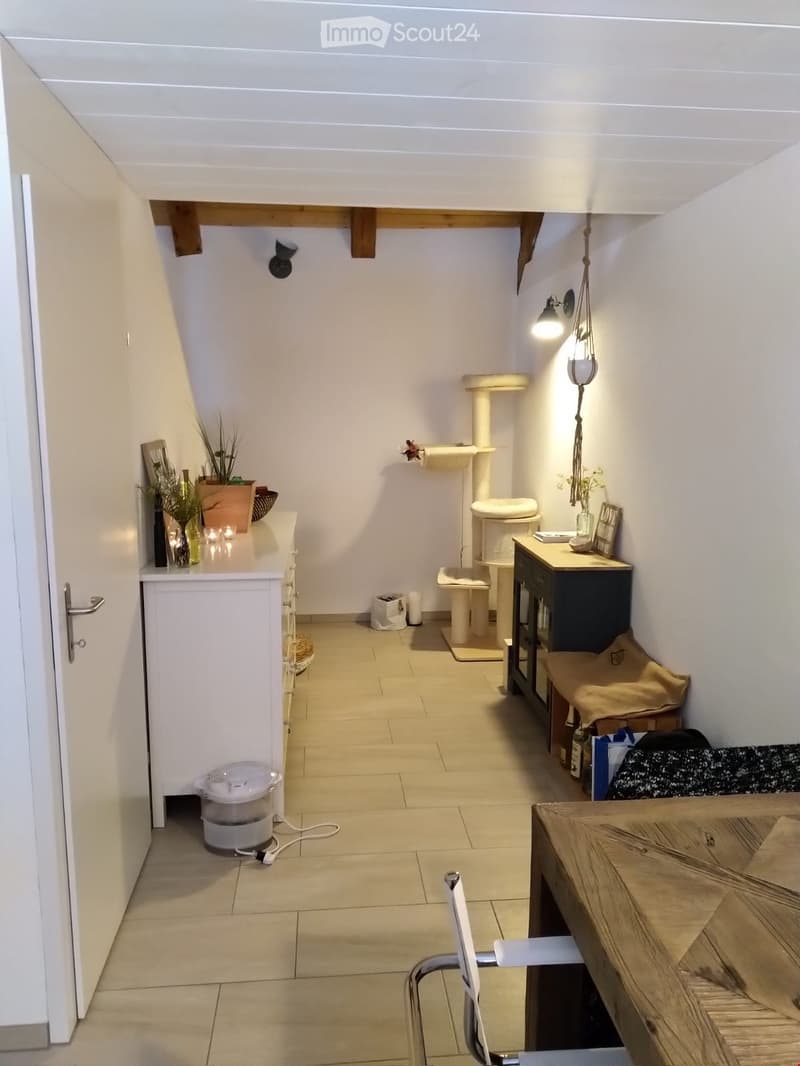 A cozy, well-lit room with a cat tree, cat litter box, a small table with a chair, a cabinet, a hanging lamp, potted plants, and a cat food dispenser.