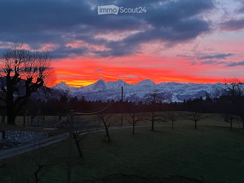 A serene outdoor scene at sunset with snow-capped mountains in the background, a grassy field, scattered trees, and a stone wall on the left side.