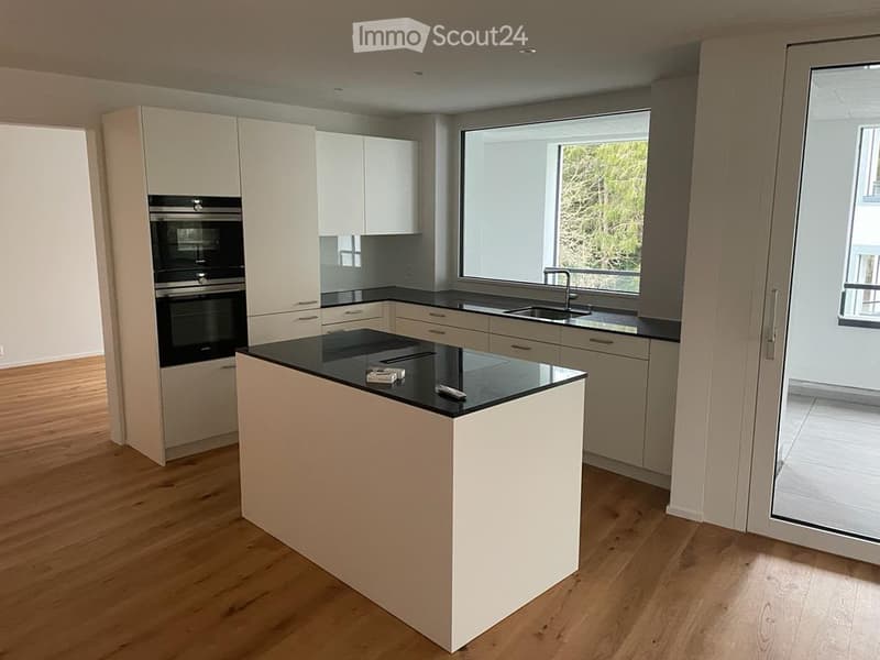 Modern kitchen with white cabinets, black countertops, an island, and built-in oven. Large window provides natural light.