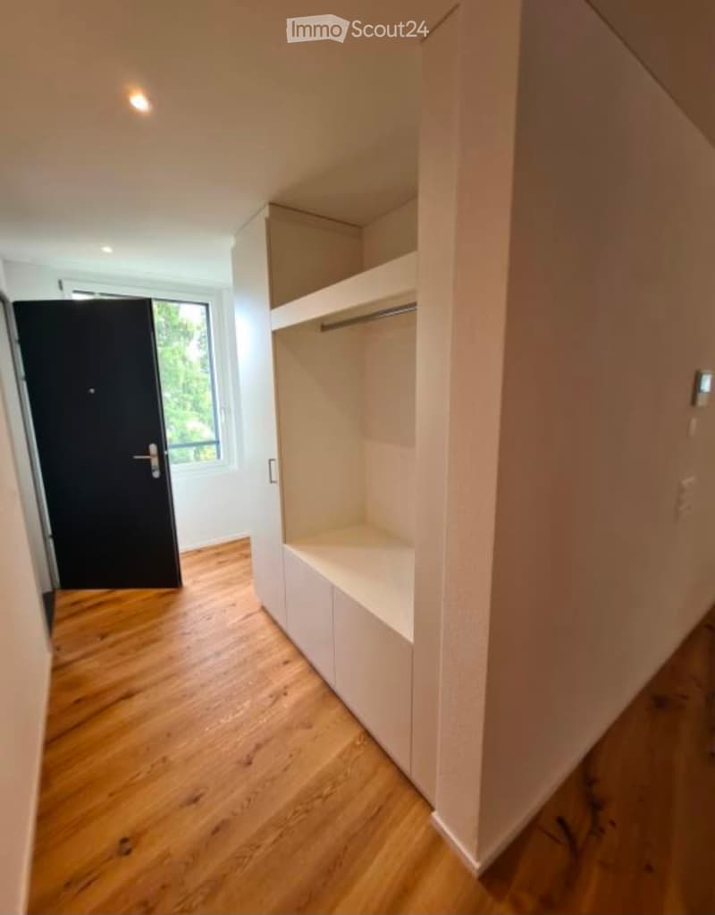 Modern hallway with wooden flooring, built-in white shelving unit, and a black door leading to a room with a window.