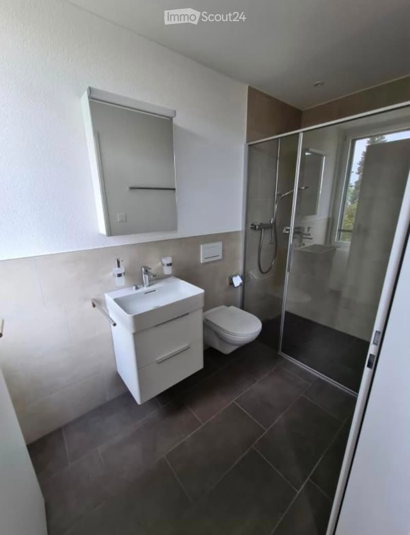 Modern bathroom with a white sink, toilet, mirror, and glass-enclosed shower. Dark tiled floor and light-colored walls.