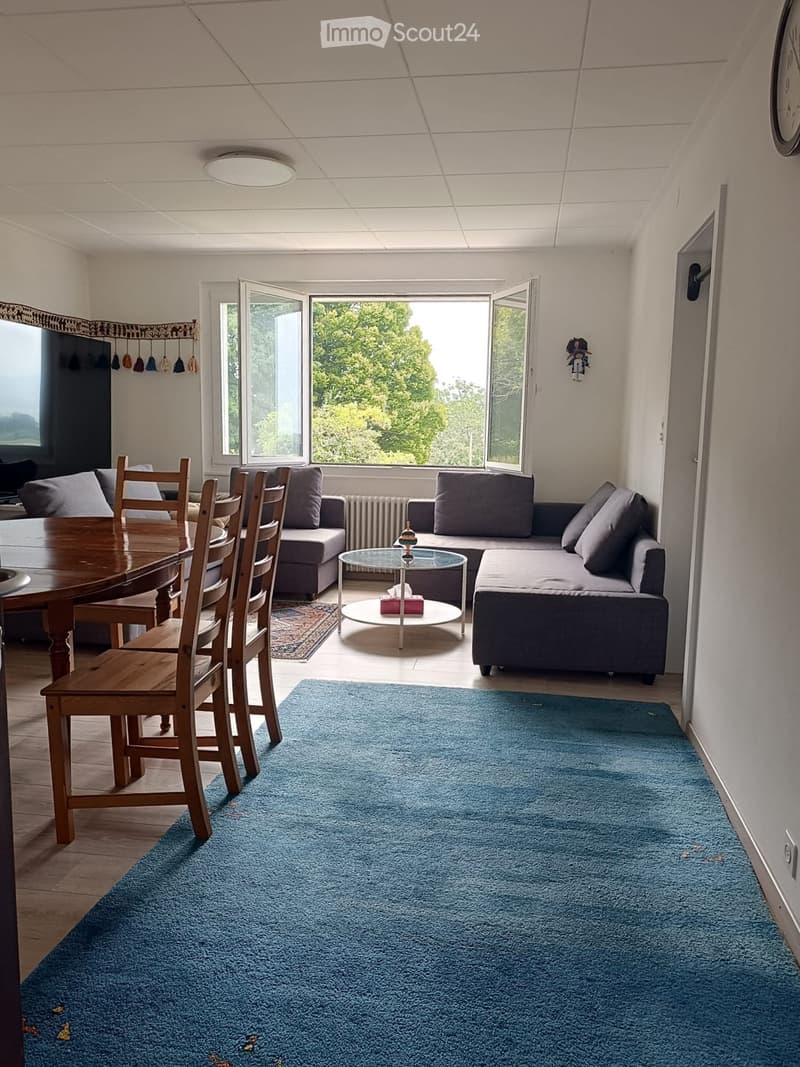 Bright living room with a blue carpet, grey sofa, coffee table, dining table, and chairs. Large windows provide natural light and a view of greenery outside.