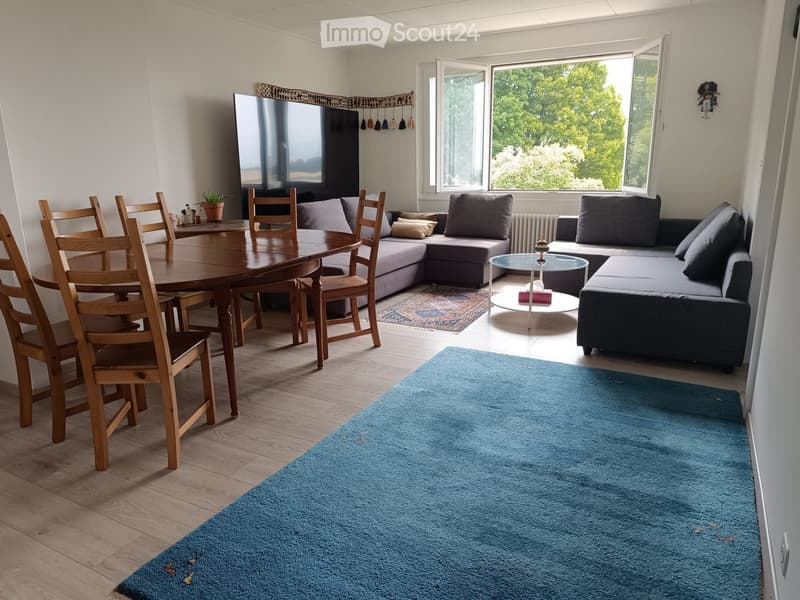 Bright living and dining area with wooden flooring, large windows, a sectional sofa, a coffee table, a dining table with chairs, and a blue rug.